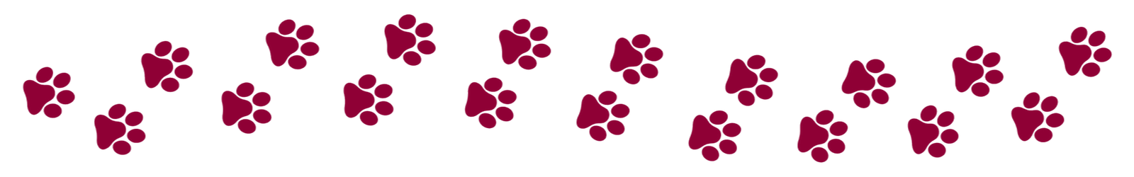 paw-vector-foot-trail-print-white-background-cat-dog-foot-trail-path-pattern-animal-tracks copy